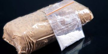 Narco-terror Module busted in Poonch: Police
