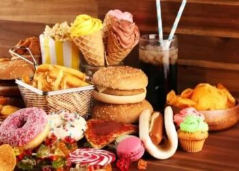 Junk food, sedentary lifestyle pushing more children towards obesity in Kashmir: DAK