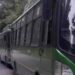 Transport Deptt to ply buses on 3 new routes