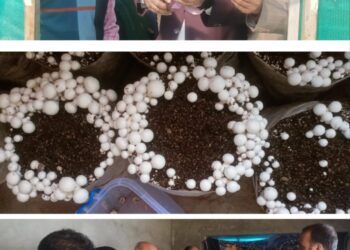 Dir Agriculture inaugurates Hi-tech poly-house, mushroom units at Rawanpora Tangmarg