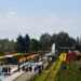 Tulip Garden Sustains Rare 33 Day-Stint This Year, Pulls Highest Ever Number of Visitors