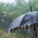 MeT Forecast ‘Significant’ Decrease In Rainfall After Downpour