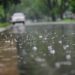 ‘Intermittent’ rain, thunderstorm to continue in J&K: MeT