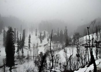 MeT forecasts rains in plains, snow over upper reaches till April 20 in J&K