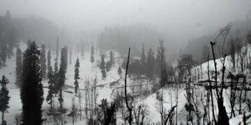 MeT forecasts rains in plains, snow over upper reaches till April 20 in J&K