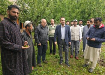 Director Horticulture conducts extensive tour of Hailstorm affected areas