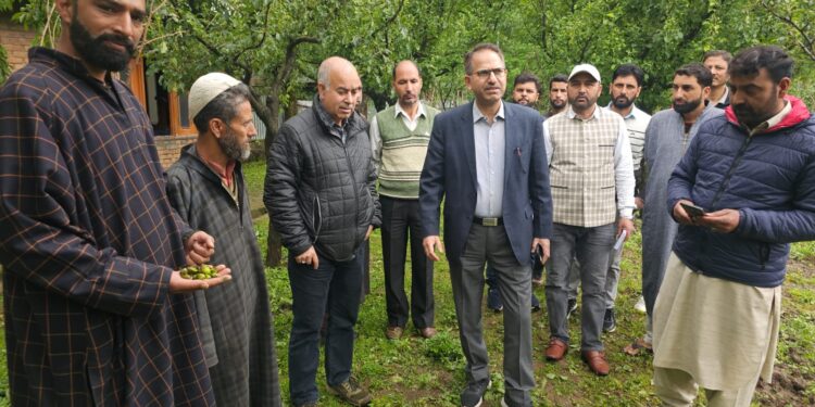 Director Horticulture conducts extensive tour of Hailstorm affected areas