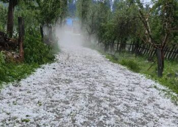 Hailstorm Wrecks Havoc In North Kashmir Villages