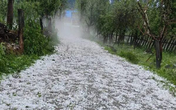 Hailstorm Wrecks Havoc In North Kashmir Villages