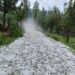 Hailstorm Wrecks Havoc In North Kashmir Villages