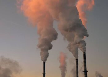 Air pollution, fast food causing rise in asthma cases in Kashmir: DAK