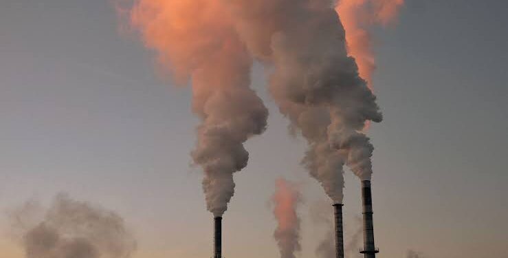 Air pollution, fast food causing rise in asthma cases in Kashmir: DAK