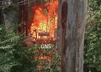 Livestock Charred to Death in Fire Mishap At Sangiaote Poonch