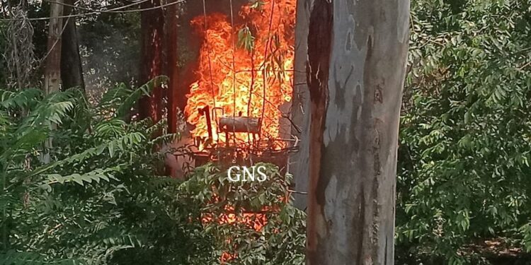 Livestock Charred to Death in Fire Mishap At Sangiaote Poonch