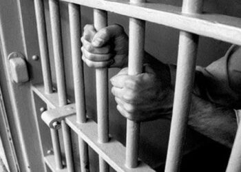 ‘5 Persons Detained in Connection with Murder Case Over Land Dispute in Thanamandi Rajouri