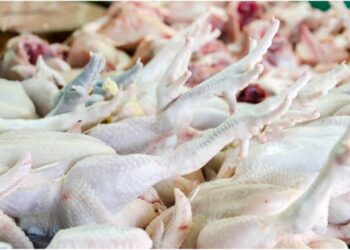 Food Safety Kashmir seizes 10 quintals of imported dressed chicken for non-maintenance of cold chain