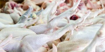 Food Safety Kashmir seizes 10 quintals of imported dressed chicken for non-maintenance of cold chain