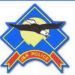 Three Militant Associates Booked Under Public Safety Act in Pulwama: Police