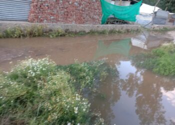 Residents of Chinpazpora in Bandipora Express Concern as Water Starts Inundating Residential Areas