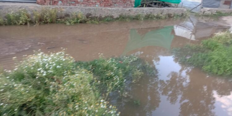 Residents of Chinpazpora in Bandipora Express Concern as Water Starts Inundating Residential Areas