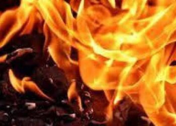 3 Casual Labourers Make Self-immolation Bid at Botanical Garden Kokernag, Rescued