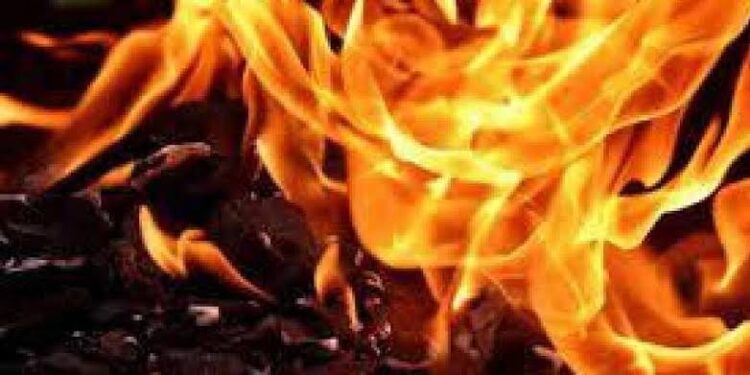 3 Casual Labourers Make Self-immolation Bid at Botanical Garden Kokernag, Rescued