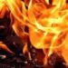 3 Casual Labourers Make Self-immolation Bid at Botanical Garden Kokernag, Rescued