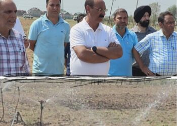 Director Agriculture visits Saffron Fields of Pampore