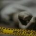 School boy slips into nallah in Surankote, dies