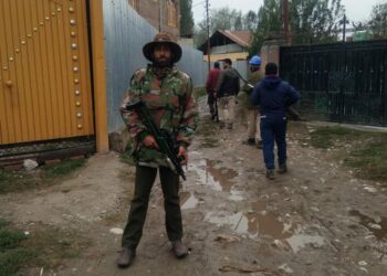 Man-Animal Conflict Witnesses Surge in Bandipora As Leopard Leaves Man Injured in Sumbal Area