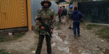 Man-Animal Conflict Witnesses Surge in Bandipora As Leopard Leaves Man Injured in Sumbal Area
