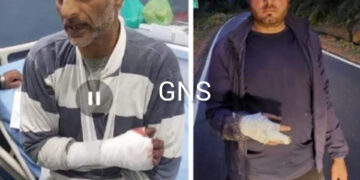 Wildlife Department Official Among 2 Injured in Leopard Attack in Uri