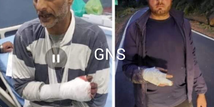 Wildlife Department Official Among 2 Injured in Leopard Attack in Uri