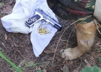 Arms And Ammunition Recovered During Searches In Rajouri