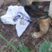 Arms And Ammunition Recovered During Searches In Rajouri