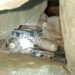 Arms And Ammunition Including 4 IEDs Recovered in Rajouri