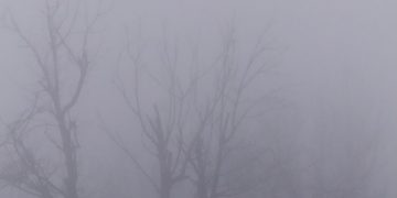 Dense fog again envelops Kashmir amid severe cold wave