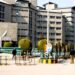 Government Invites Applications for Appointment of Director SKIMS