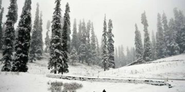 Snowfall in higher reaches, light rains lash plains in Kashmir
