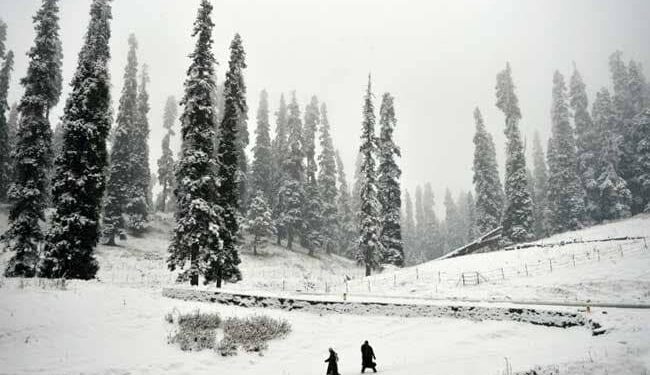 Snowfall in higher reaches, light rains lash plains in Kashmir