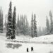 Snowfall in higher reaches, light rains lash plains in Kashmir