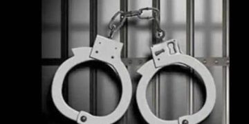 Wanted Drug Peddler Booked Under PIT NDPS Act in Baramulla: Police