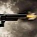 Former SSP Shot Dead By Militants In Barmulla