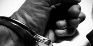 107 cases, 186 drug peddlers booked in Srinagar this year: Officials  