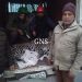 Wildlife Department Captures Leopard in Hajin Bandipora