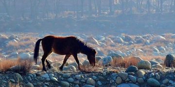 Amid Prolonged Dry Spell, Srinagar Records ‘Warmest’ Day in 14 Years