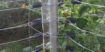 FFC Constituted To Enquire Into Irregularities in Execution of Power Supply & Installation of Power Fencing System in 10 J&K Jails