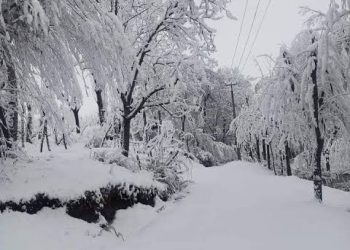 J&K braces up for much awaited rains, snow as mercury drops; minus 5.3°C in Srinagar