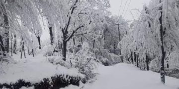 J&K braces up for much awaited rains, snow as mercury drops; minus 5.3°C in Srinagar