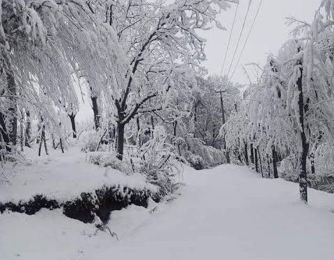 J&K braces up for much awaited rains, snow as mercury drops; minus 5.3°C in Srinagar